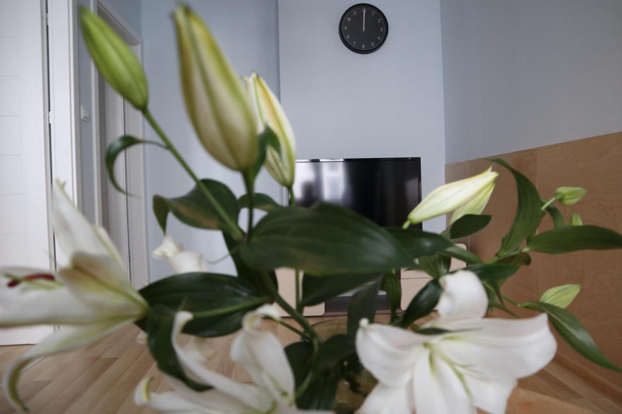 One More Night Apartment, Poznan Old Town المظهر الخارجي الصورة